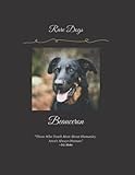Beauceron: Rare Dog Breeds