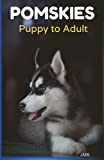 POMSKIES: An overview of a Pomsky's life from the kinds or types, their characteristics, and some basic training. Puppy to Adult