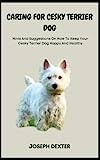 CARING FOR CESKY TERRIER DOG: Hints And Suggestions On How To Keep Your Cesky Terrier Dog Happy And Healthy