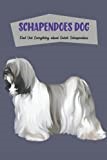 Schapendoes Dog: Find Out Everything about Dutch Schapendoes: Schapendoes Dog Breed Facts and Information