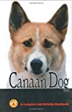 Canaan Dog