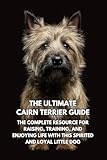 Cairn Terrier thumbnail