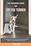 Toy Fox Terrier thumbnail