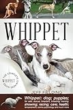 Whippet thumbnail