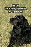 Blue Picardy Spaniel Notebook: Notebook|Journal| Diary/ Lined - Size 6x9 Inches 100 Pages