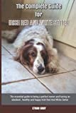 The Complete Guide for Irish Red And White Setter: The essential guide to being a perfect owner and having an obedient, healthy, and happy Irish Red And White Setter