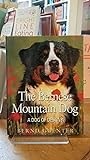 The Bernese Mountain Dog: A Dog of Destiny