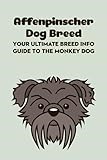 Affenpinscher Dog Breed: Your Ultimate Breed Info Guide to The Monkey Dog: Affenpinscher Dog Breed Information and Personality Traits