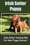 Irish Setter Puppy: Irish Setter Training Tips For New Puppy Owners