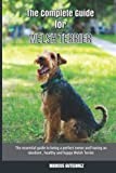 Welsh Terrier thumbnail