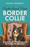 Understand Your Border Collie: A Breed-Specific Training Approach for Perfect Pet Behaviour