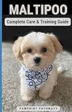 Maltipoo thumbnail