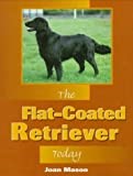Flat-Coated Retrievers Today
