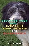 Discover your Dog:Everything about the breed: The Schapendoes