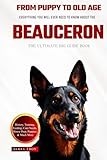 Beauceron thumbnail