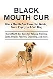 Black Mouth Cur. Black Mouth Cur Essential Guide, From Puppy to Adult Dog. Black Mouth Cur Book for Raising, Training, Costs, Health, Feeding, Grooming, and more.
