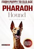 The Ultimate Pharaoh Hound Big Guide: Everything You Will Ever Need To Know About The Pharaoh Hound Book