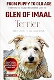 The Ultimate Glen Of Imaal Terrier Big Guide: Everything You Will Ever Need To Know About The Glen Of Imaal Terrier Book