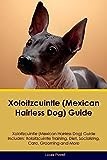 Xoloitzcuintle (Mexican Hairless Dog) Guide Xoloitzcuintle Guide Includes: Xoloitzcuintle Training, Diet, Socializing, Care, Grooming, and More