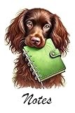 Boykin Spaniel