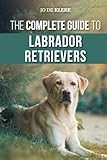 Labrador Retriever thumbnail