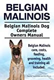 Malinois thumbnail