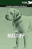 The Mastiff - A Complete Anthology of the Breed
