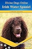 Irish Water Spaniel (Divine Dogs Online)