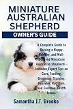 Miniature Australian Shepherd thumbnail
