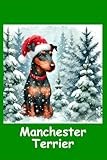 Manchester Terrier