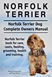 Norfolk Terrier thumbnail