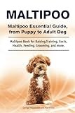 Maltipoo. Maltipoo Essential Guide, from Puppy to Adult Dog. Maltipoo Book for Raising, Training, Costs, Health, Feeding, Grooming, and more.