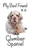 My best Friend is a Clumber Spaniel: 8” x 5” Blank lined Journal Notebook 120 College Ruled Pages