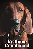 Redbone Coonhound: Dog breed overview and guide