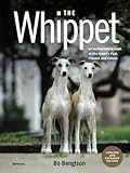 The Whippet: An Authoritative Look at the Breed’s Past, Present and Future