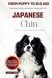 The Ultimate Japanese Chin Big Guide: Everything You Will Ever Need To Know About The Japanese Chin Book