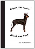 English Toy Terrier (Black & Tan): And all about them...