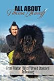 All About Tibetan Mastiff: From Tibetan Mastiff Breed Standard To Training