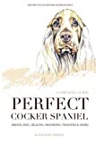 Perfect cocker spaniel: complete guide. Breed, diet, health, grooming, training and more