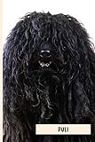 Puli: Funny Wide Ruled Notebook Gift For Puli Lovers - Perfect Puli Dog Gift On Valentine Day/Birthday/Halloween - 6 x 9 Inches - 110 Lined Pages