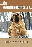 The Spanish Mastiff’S Life: Keep Your Dogs Healthy