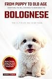 The Ultimate Bolognese Big Guide: Everything You Will Ever Need To Know About The Bolognese Book