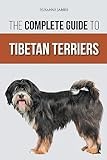 Tibetan Terrier thumbnail