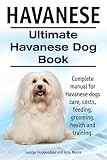 Havanese thumbnail