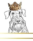 Cesky Terrier Dog Record and Memory Book: Dog Photo Album Pet Milestones Keepsake Book