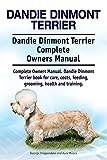 Dandie Dinmont Terrier. Dandie Dinmont Terrier Complete Owners Manual. Dandie Dinmont Terrier book for care, costs, feeding, grooming, health and training.