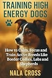 Training High-Energy Dogs: How to Calm, Focus, and Train Active Breeds Like Border Collies, Labs, and Shepherds