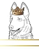 Belgian Laekenois Dog Record and Memory Book: Dog Photo Album Pet Milestones Keepsake Book