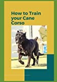 How to Train Your Cane Corso: A Comprehensive Guide to Raising a Well-Behaved and Obedient Companion