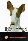 Ibizan Hound thumbnail